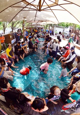 ♨️ 데유 온천 공동욕장(데유온센 교도요쿠조) 이미지 2